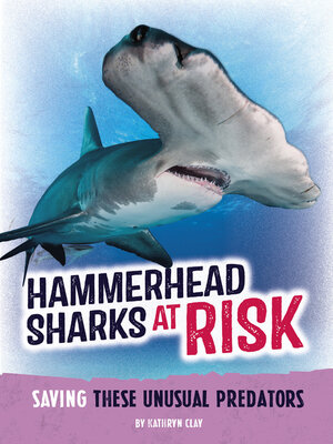 cover image of Hammerhead Sharks at Risk